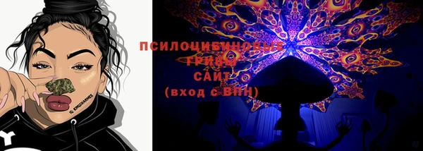 герыч Арсеньев