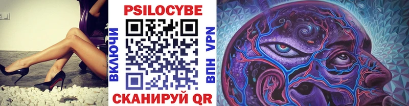 Галлюциногенные грибы Psilocybe  KRAKEN ССЫЛКА  Ступино 
